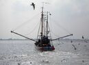 Fischkutter