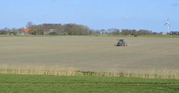 Ostfriesische Landwirtschaft