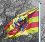 Oldenburger Flagge mit Wappen
