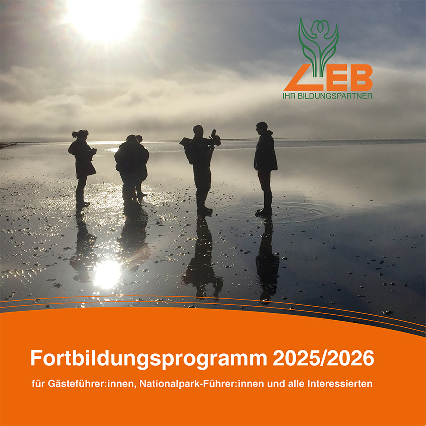 Titelbild Programm